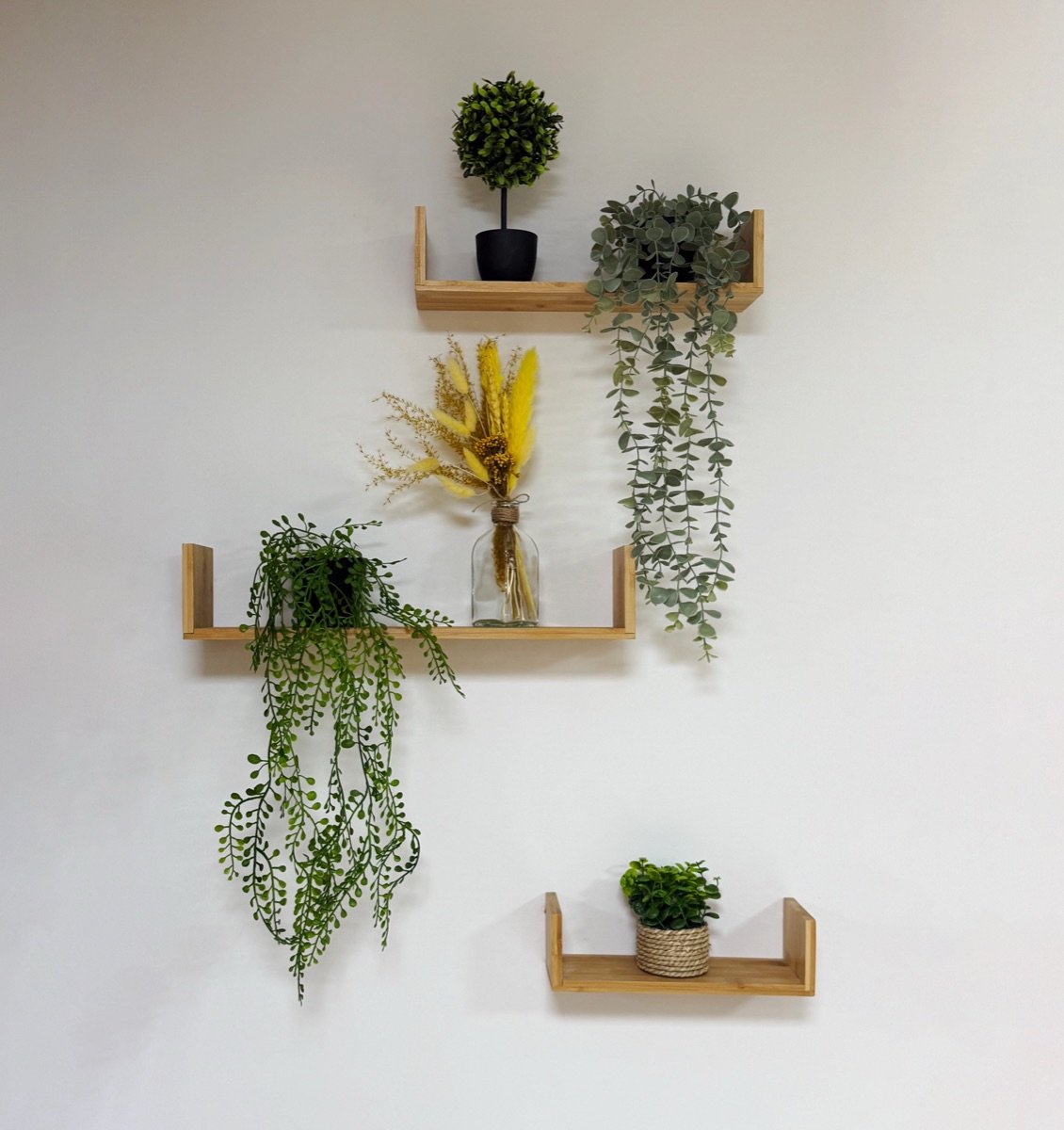 WorkOn décoration plantes